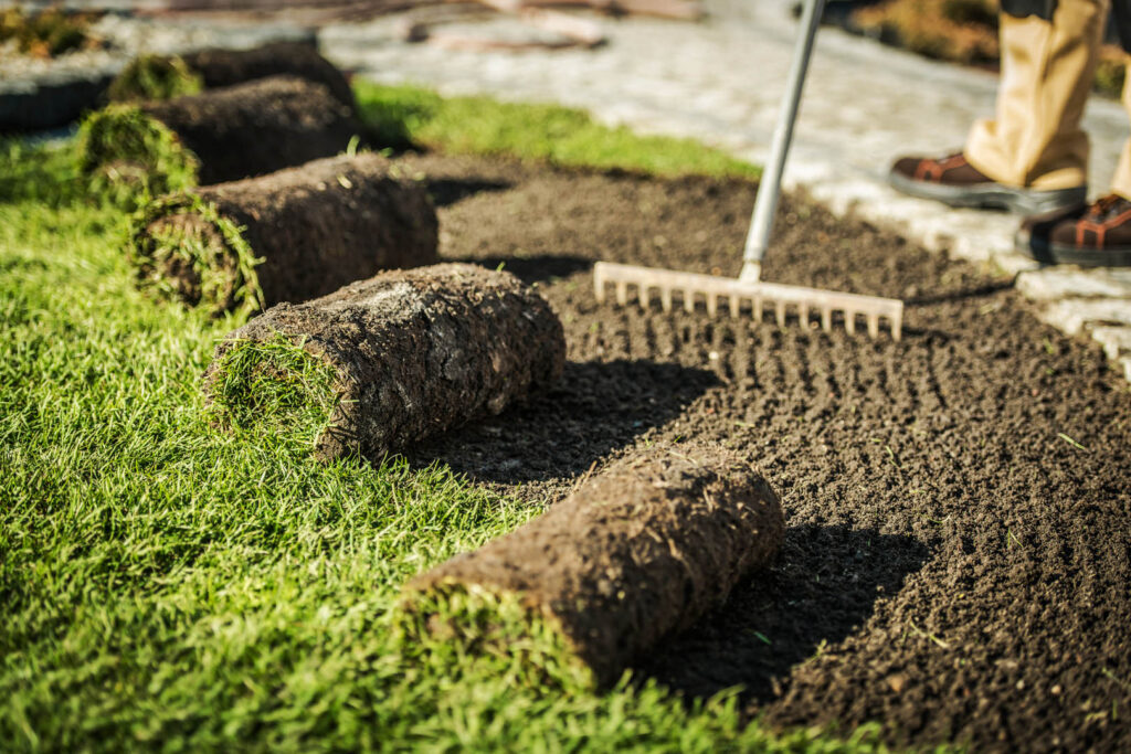 Close Up Of Worker Raking Dirt And Preparing To Install Rolls Of Soil And Turf.